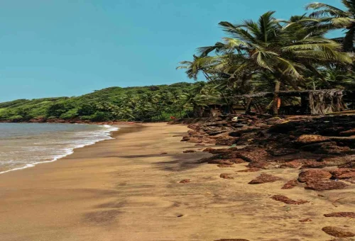 Goa