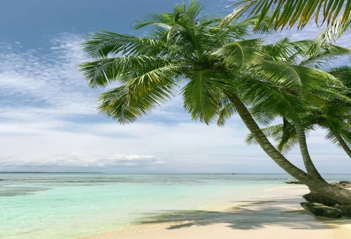 Goa