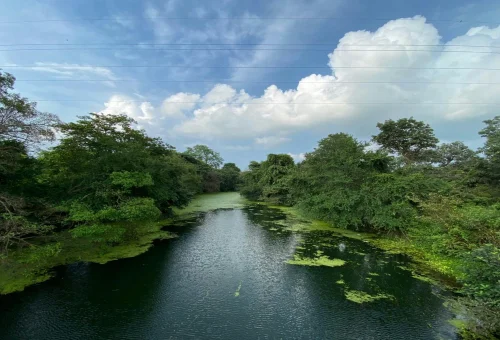 Best Madhya pradesh Tour