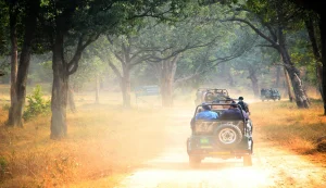 Bandhavgarh