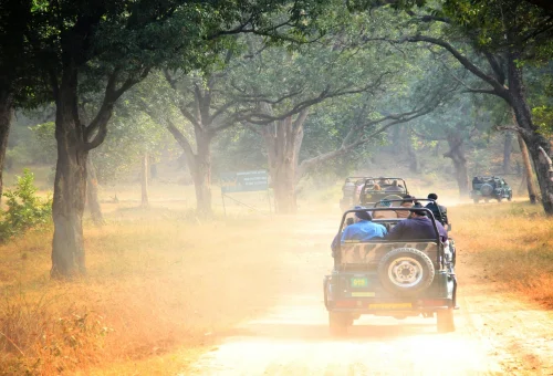 Best Madhya pradesh Tour