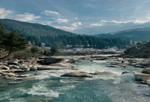 Best Shimla Tour