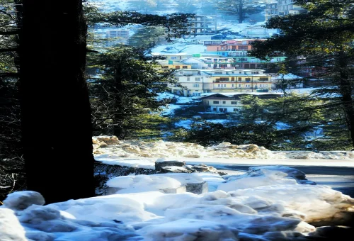 Best Shimla Tour