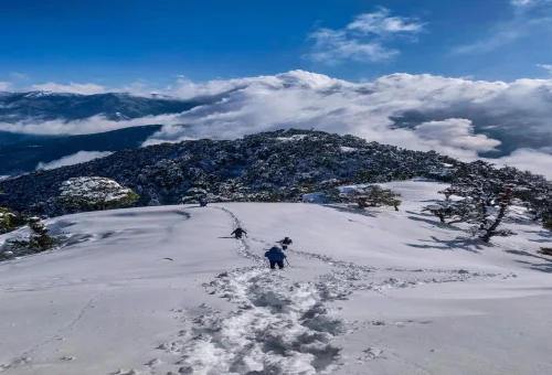 Best Shimla Tour