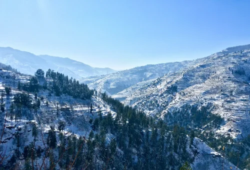 Best Shimla Tour