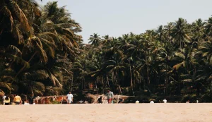 Goa