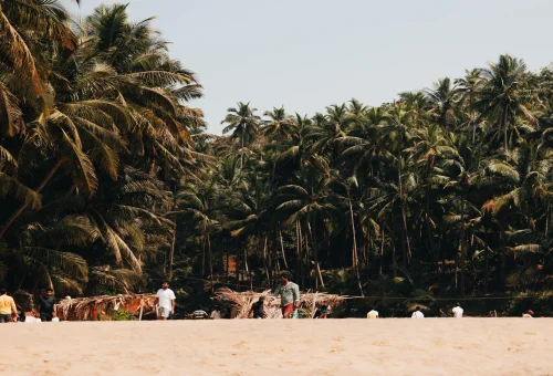Best Goa Tour
