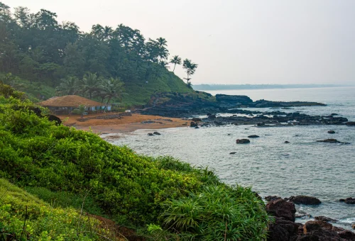 Best Goa Tour