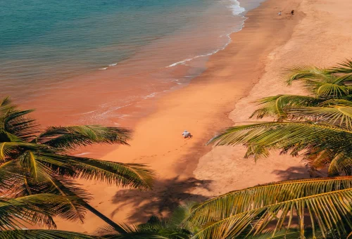 Best Goa Tour