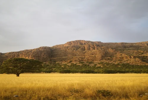 Kanha