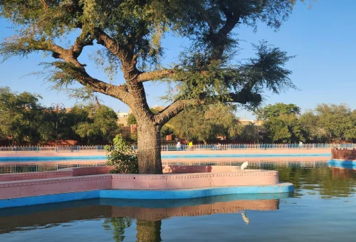 Bikaner