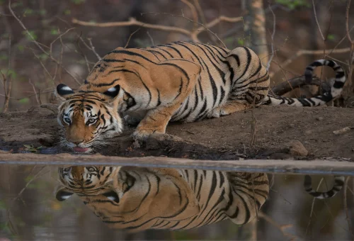 Best Pench Tour
