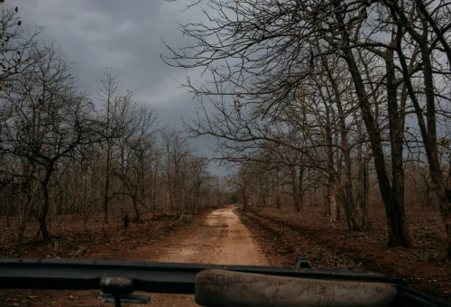 Best Pench Tour
