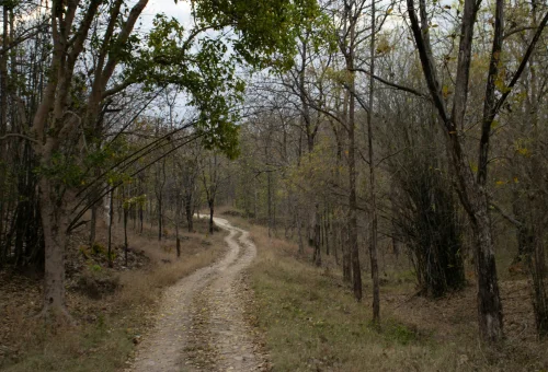 Best Pench Tour