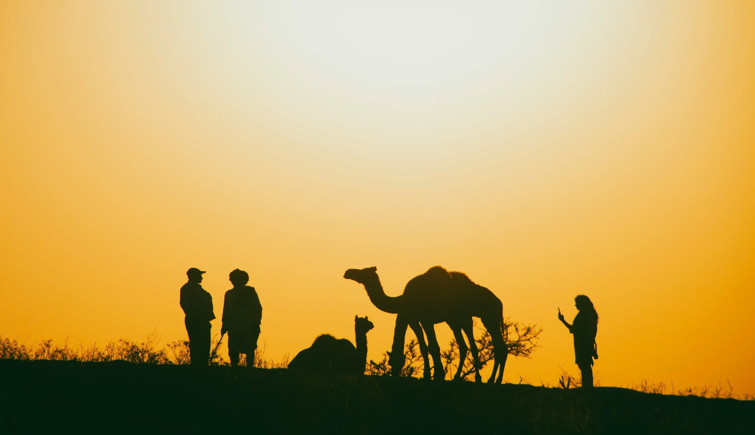 Pushkar