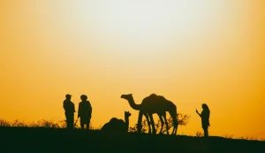 Pushkar