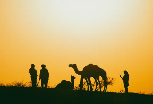 Best Pushkar Tour