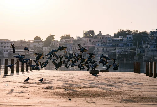 Pushkar