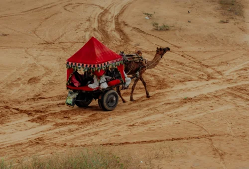 Best Pushkar Tour