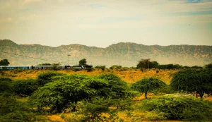 Pushkar