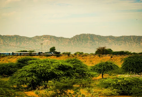 Best Pushkar Tour