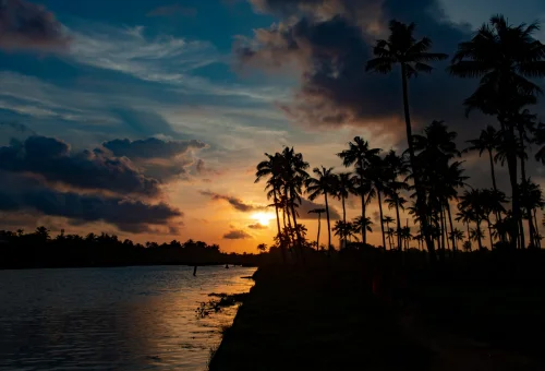 Kochi