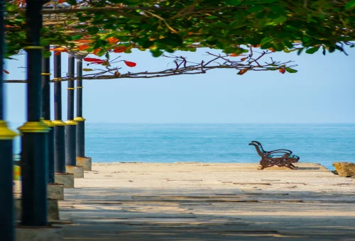Best Kochi Tour