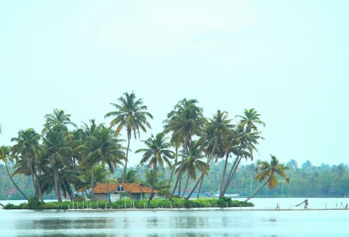 Best Kochi Tour