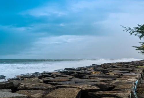 Best Kochi Tour