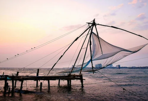 Best Kochi Tour