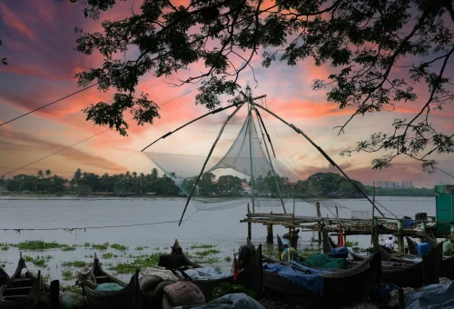 Best Kochi Tour