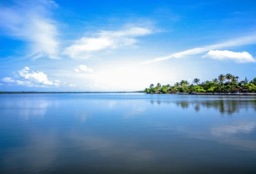 Kochi