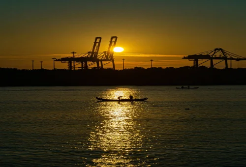 Best Kochi Tour