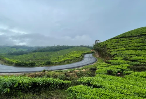 Munnar