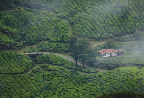 Munnar