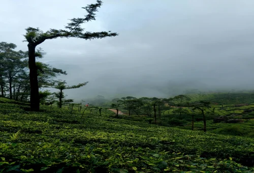 Munnar