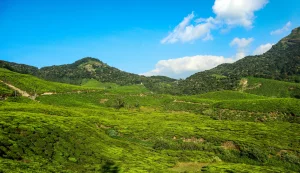 Munnar