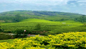 Munnar