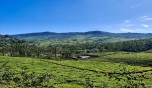 Munnar