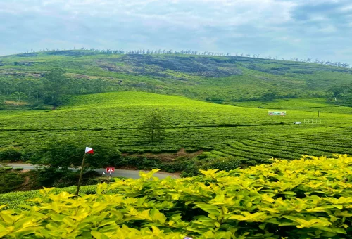 Munnar