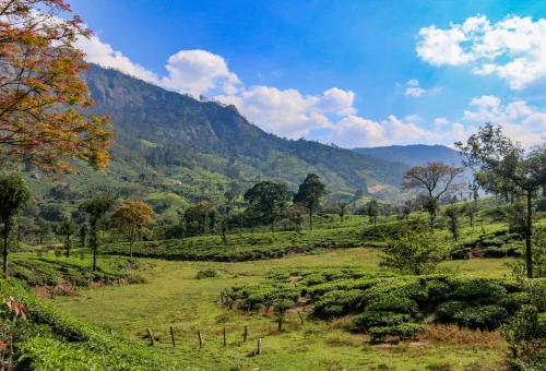 Munnar