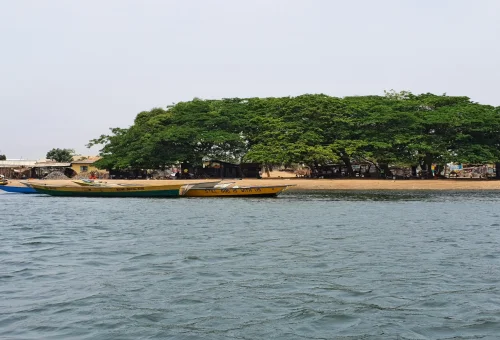 Mandawa