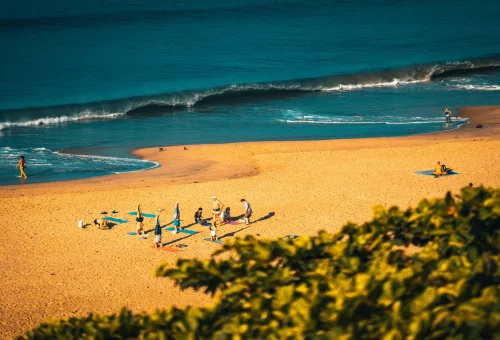 Best Varkala Tour