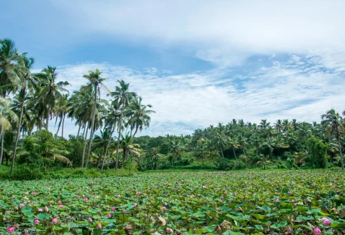 Varkala