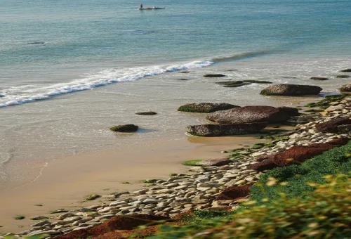 Best Varkala Tour