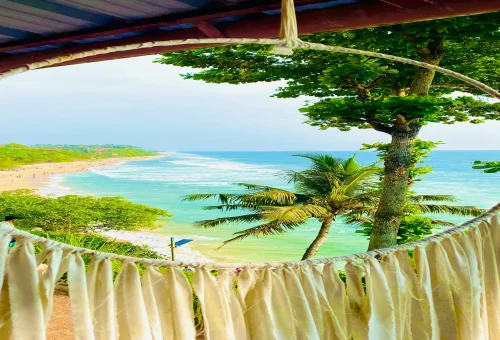 Best Varkala Tour
