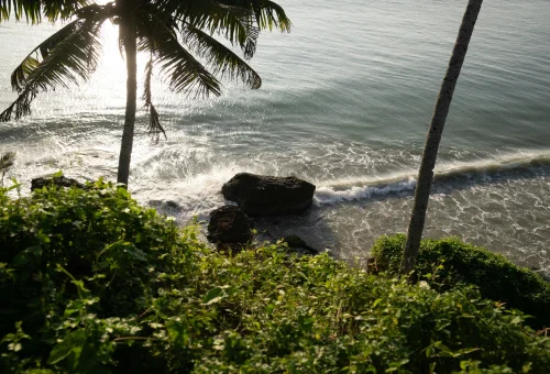 Best Varkala Tour