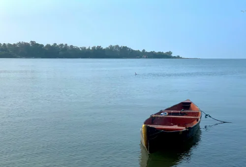 Alleppey