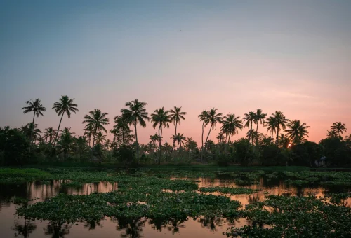 Best Alleppey Tour