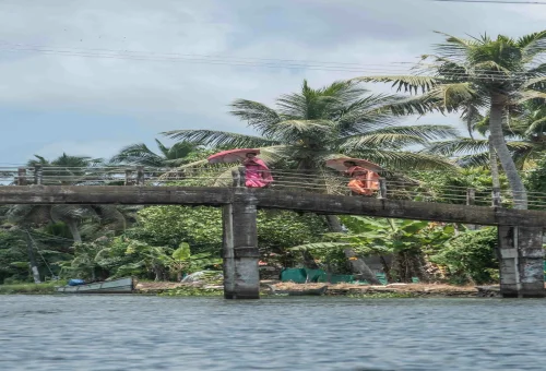 Best Alleppey Tour